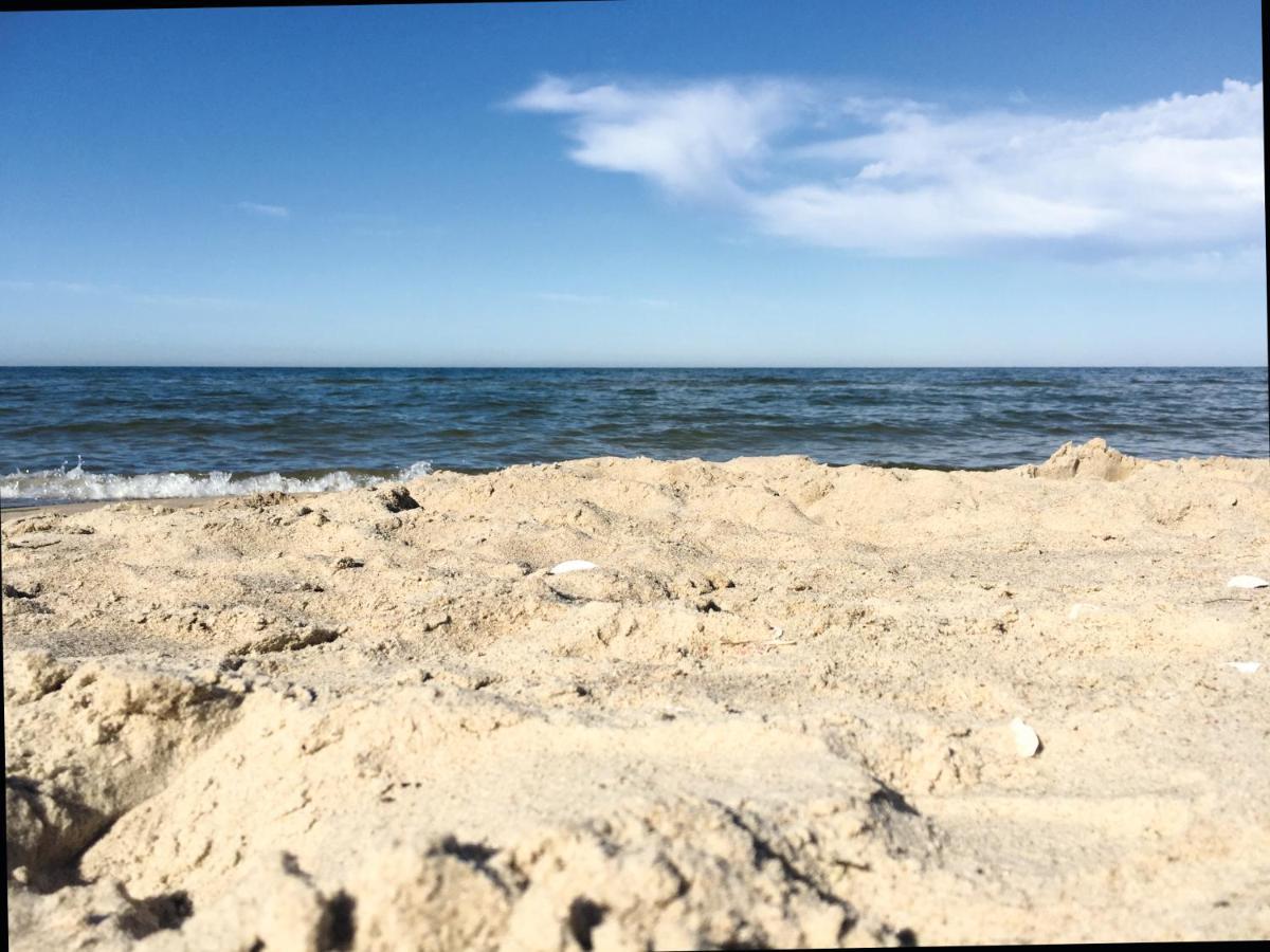 Reet Am Strand Mit Hund Karlshagen Exteriör bild