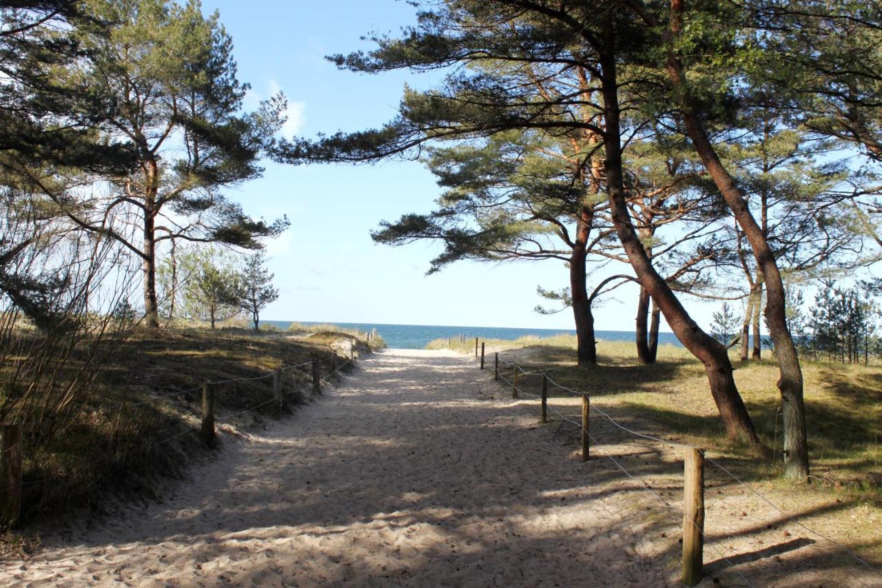 Reet Am Strand Mit Hund Karlshagen Exteriör bild