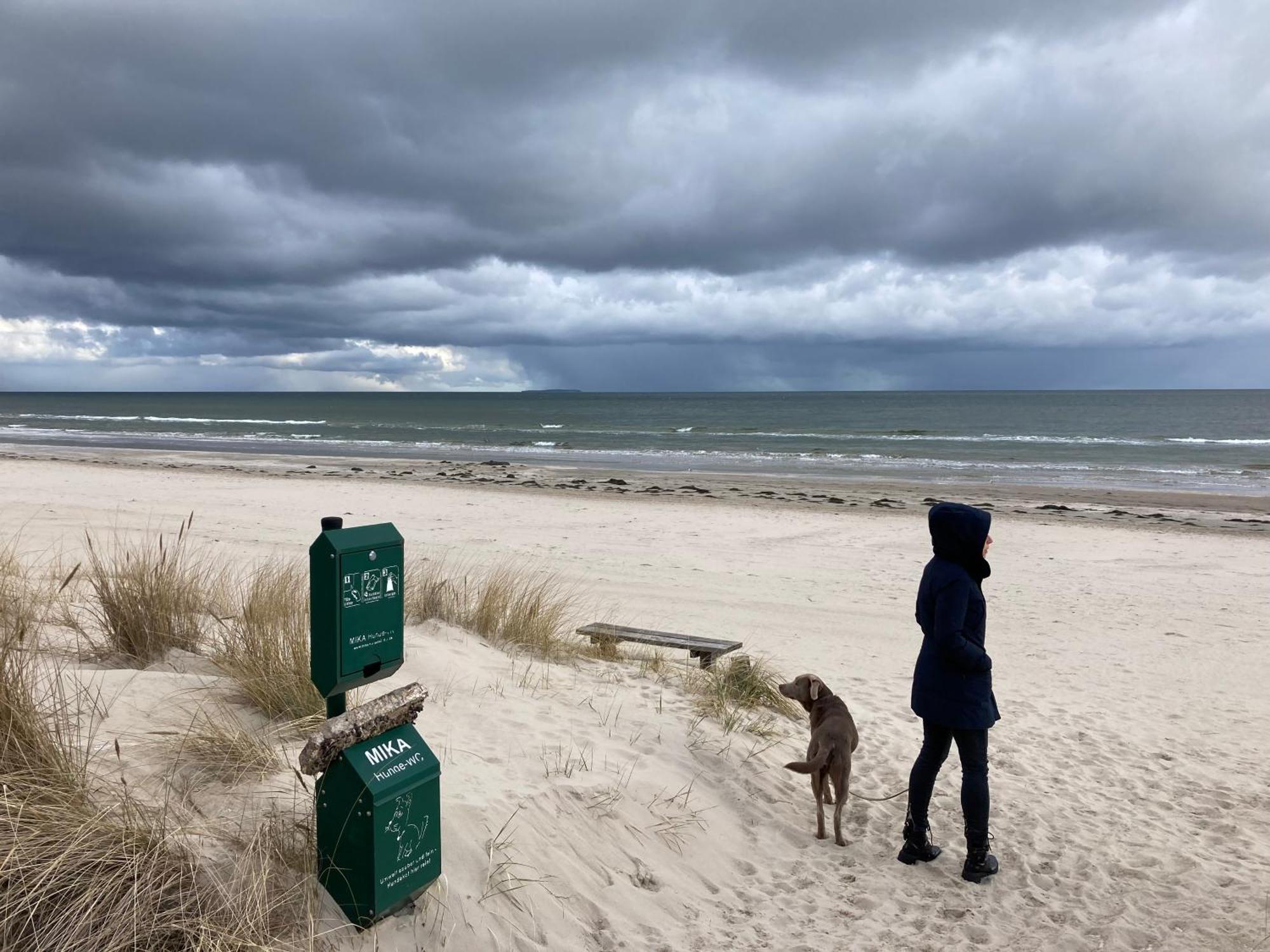 Reet Am Strand Mit Hund Karlshagen Exteriör bild